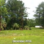 Freedom Heights - Valdosta, Georgia